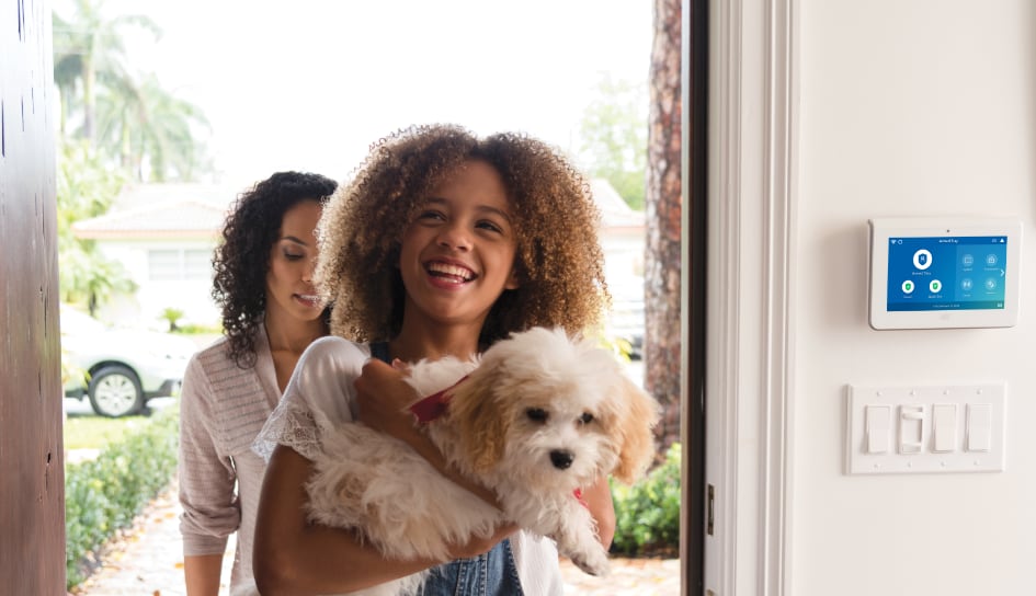 ADT Security System in a Naperville home